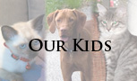 Our kids: Leia, Laszlo and Panama